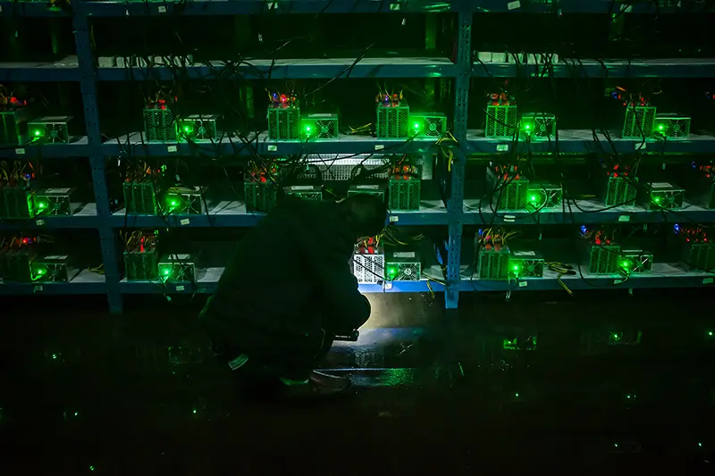 NVIDIA Từ Bỏ Tiền Điện Tử, Tập Trung Sức Mạnh Cho Trí Tuệ Nhân Tạo AI